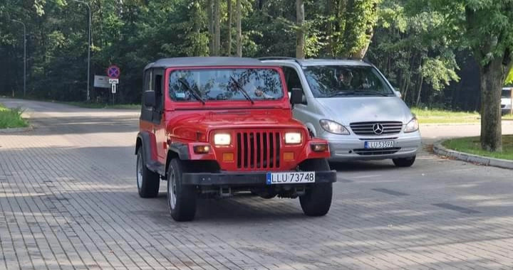 Jeep Wrangler cena 70000 przebieg: 160000, rok produkcji 1995 z Łuków małe 37